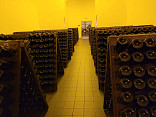 Výlet do firmy BOHEMIA SEKT