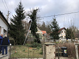 JARO V BEZDĚKOVĚ