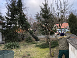 JARO V BEZDĚKOVĚ