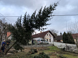JARO V BEZDĚKOVĚ