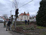 JARO V BEZDĚKOVĚ