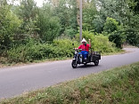 Bezděkovská alej s českými večerníčky